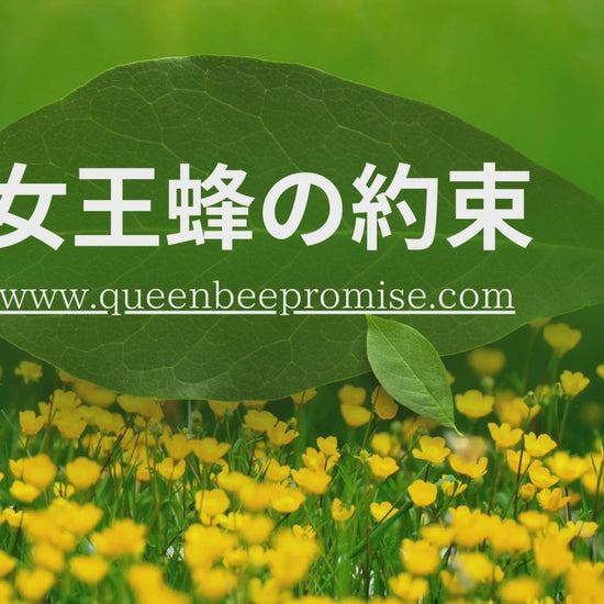 嬢王蜂の約束　https://queenbeepromise.com/