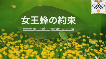 嬢王蜂の約束　https://queenbeepromise.com/